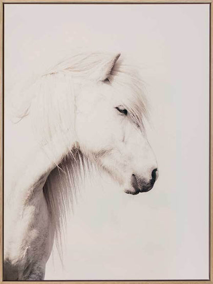 Icelandic Horse Canvas Art Print