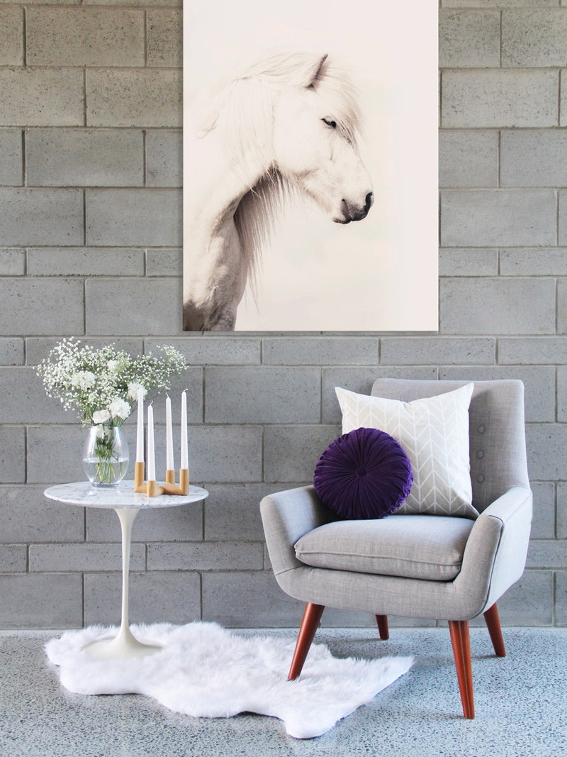 Icelandic Horse Canvas Art Print | Lifestyle