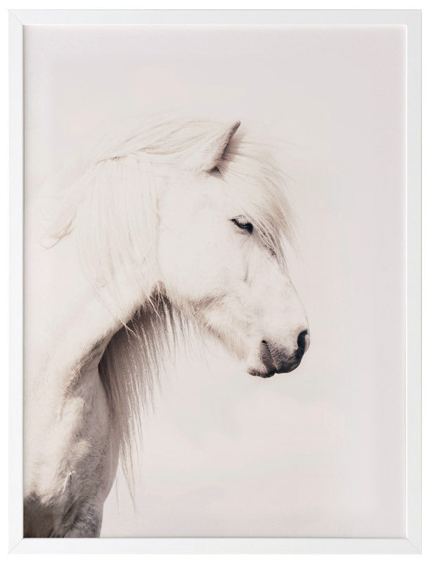 Icelandic Horse Framed Art Print