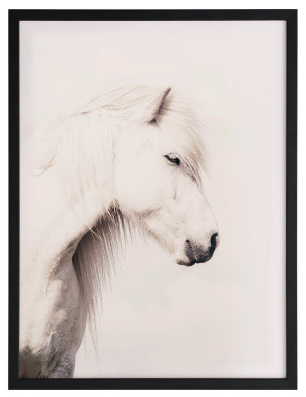 Icelandic Horse Framed Art Print