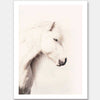 Icelandic Horse Unframed Art Print