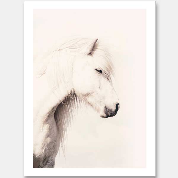Icelandic Horse Unframed Art Print