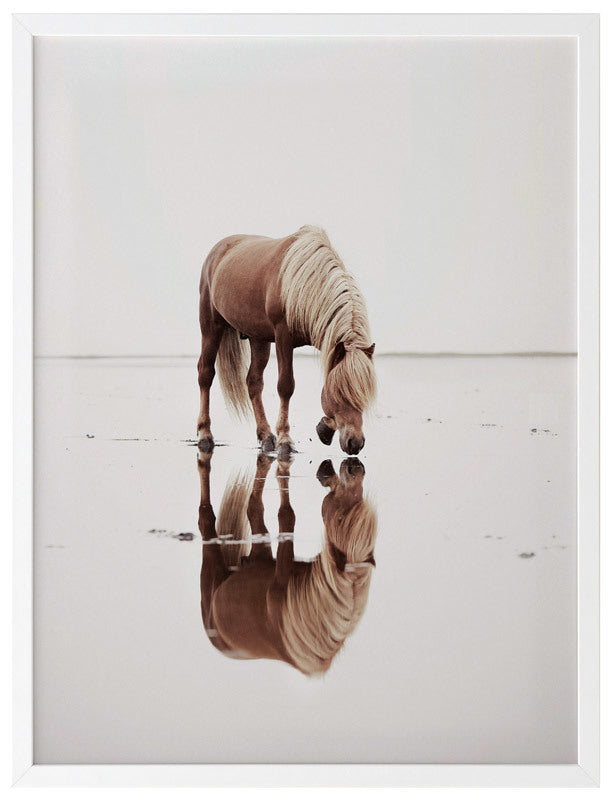 Mirror Framed Art Print