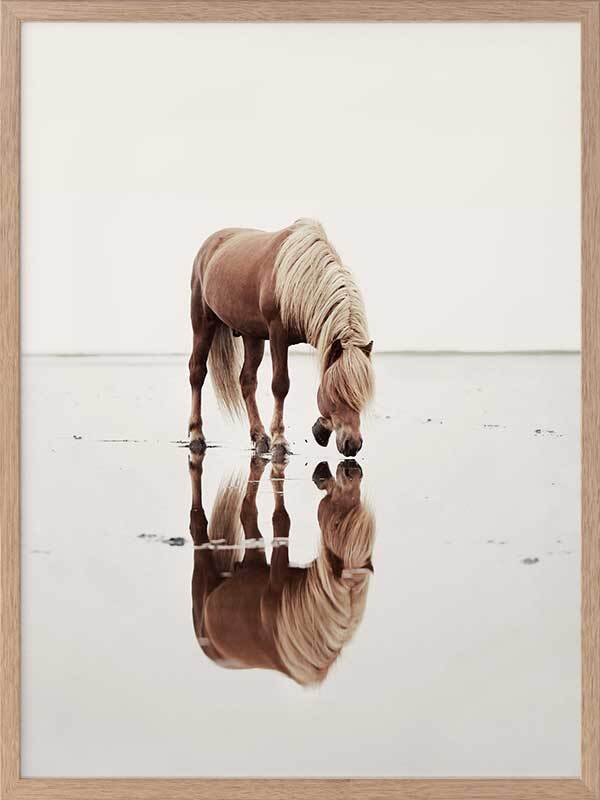 Mirror Framed Art Print