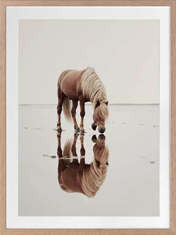 Mirror Framed Art Print