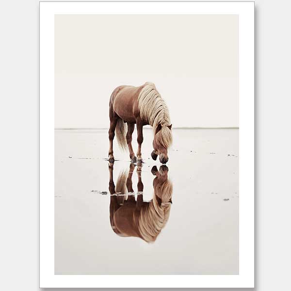 Mirror Unframed Art Print