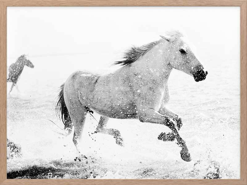 Running Canvas Art Print