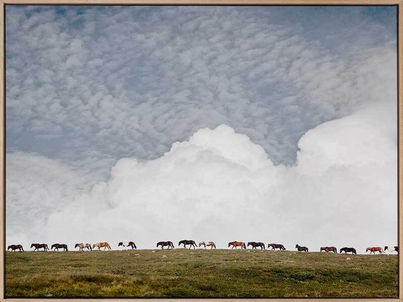 Line Dance Canvas Art Print