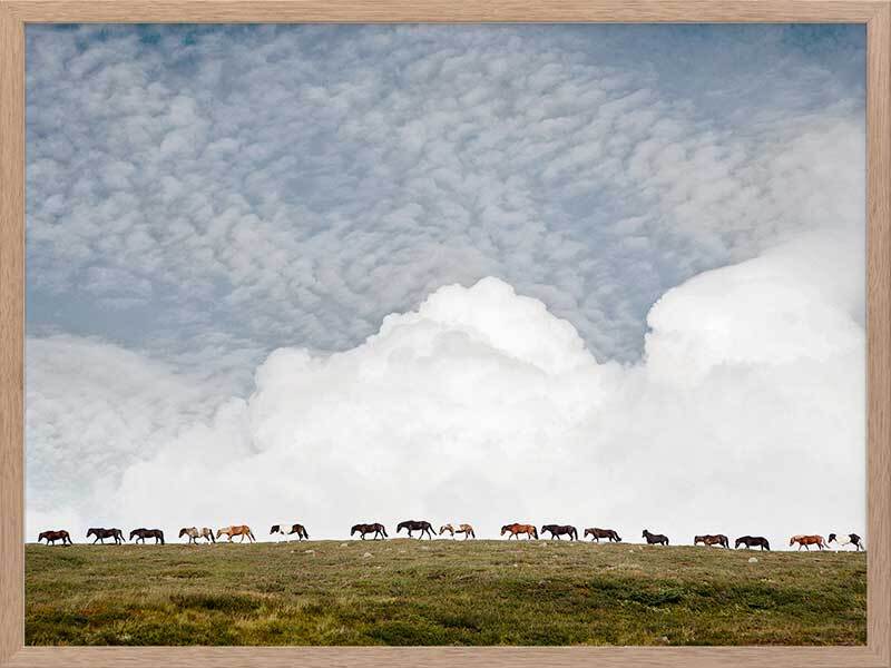 Line Dance Canvas Art Print