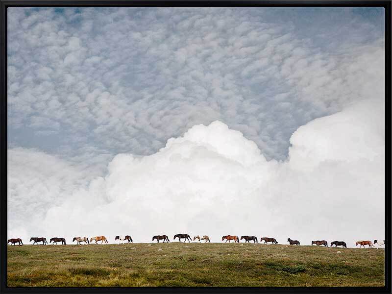 Line Dance Canvas Art Print