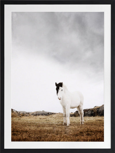 Bowie Framed Art Print