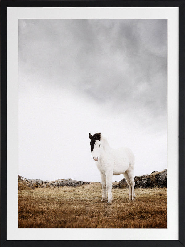 Bowie Framed Art Print