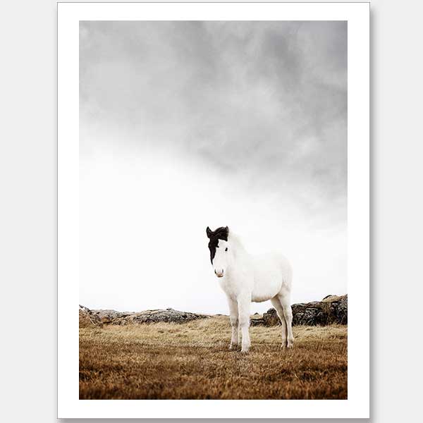 Bowie Unframed Art Print