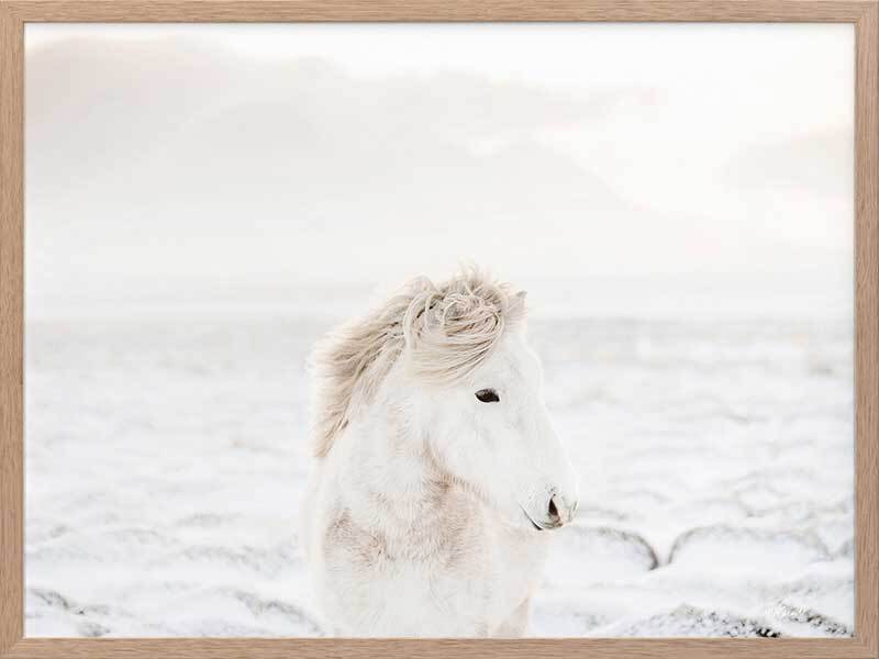 Snow Storm Framed Art Print