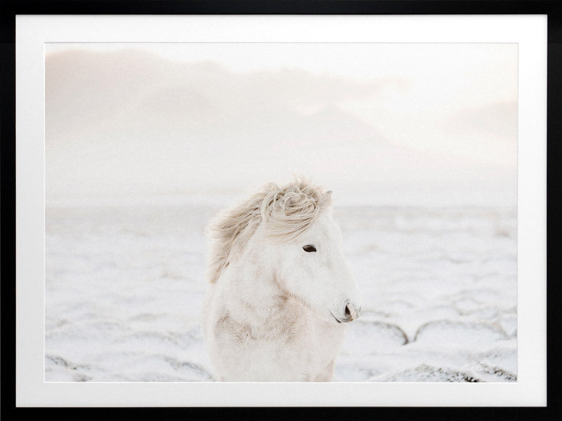 Snow Storm Framed Art Print