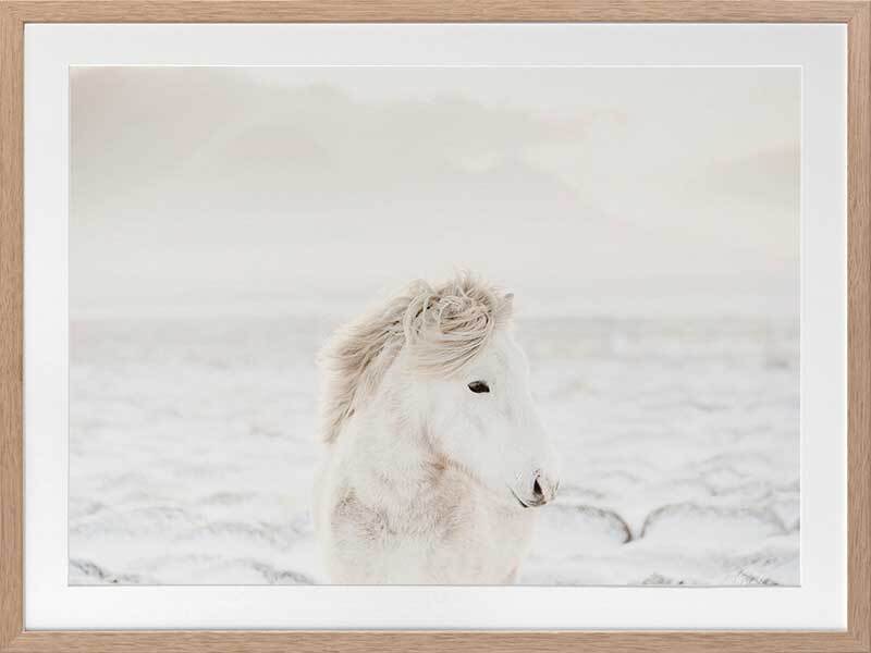 Snow Storm Framed Art Print