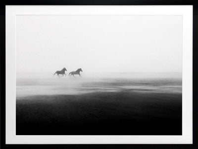 Shadow Framed Art Print