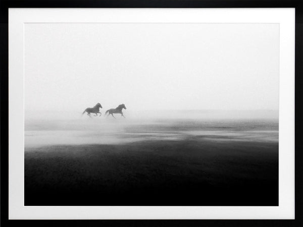 Shadow Framed Art Print