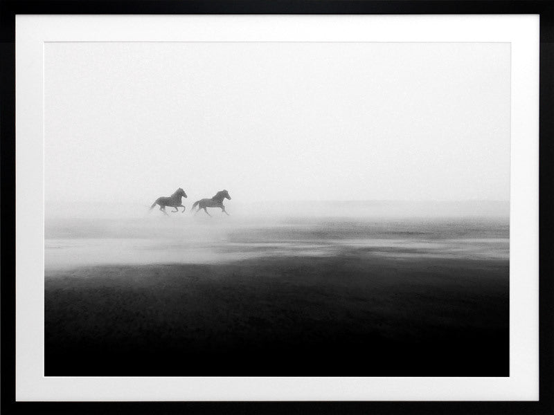 Shadow Framed Art Print