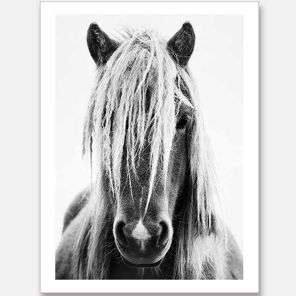 Punk Unframed Art Print