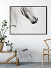 From the Horse's Mouth Canvas Art Print | Lifestyle