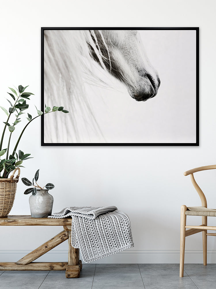 From the Horse's Mouth Canvas Art Print | Lifestyle