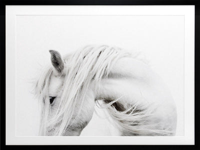 Bashful Framed Art Print