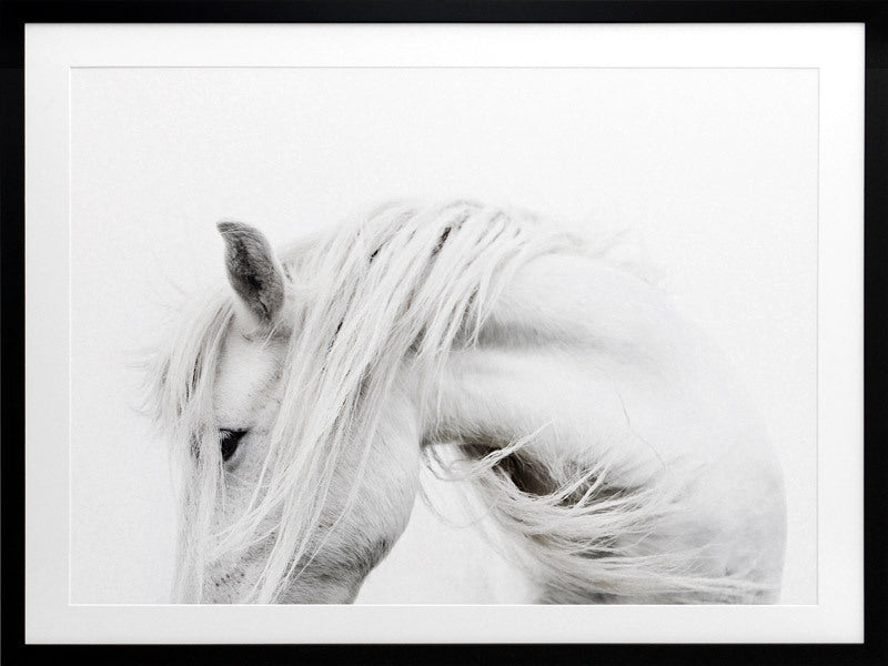 Bashful Framed Art Print