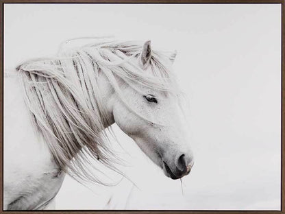 Stallion Canvas Art Print