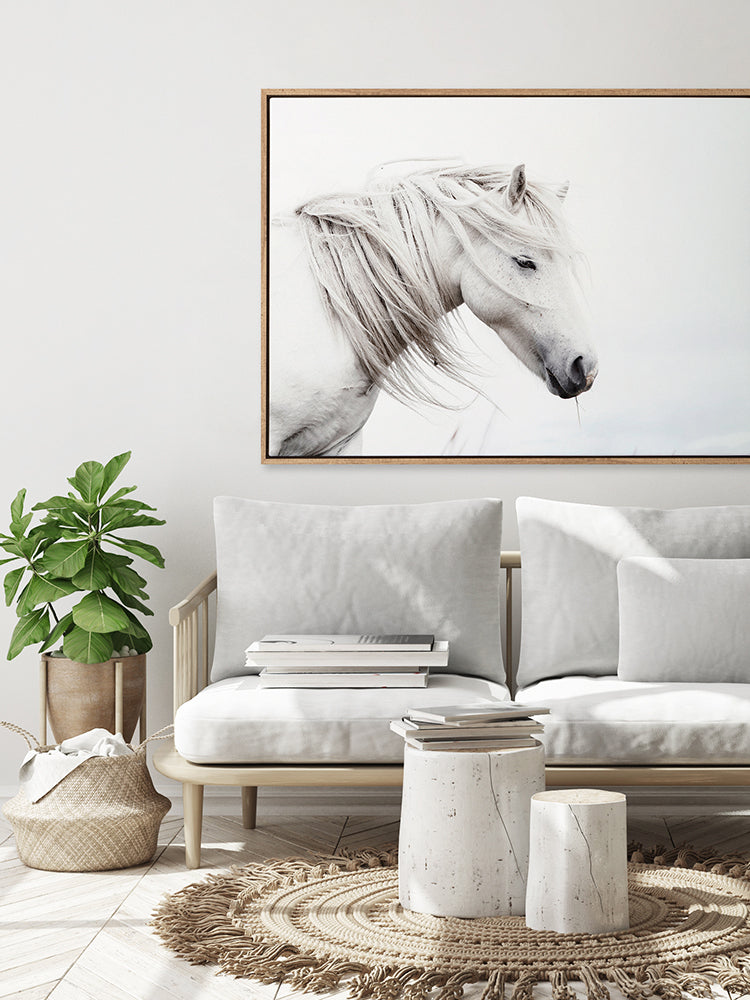 Stallion Canvas Art Print | Lifestyle