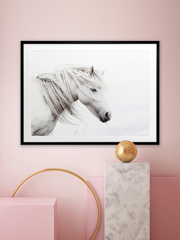 Stallion Framed Art Print | Lifestyle