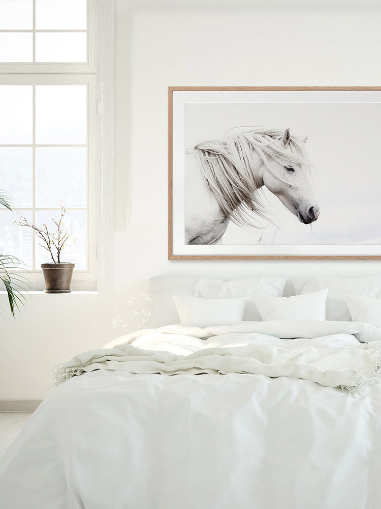 Stallion Framed Art Print