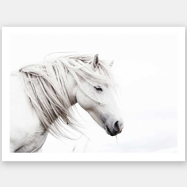 Stallion Unframed Art Print
