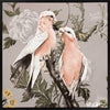 Galahs Muted Pink Canvas Art Print
