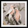Galahs Muted Pink Framed Art Print