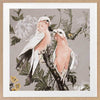 Galahs Muted Pink Framed Art Print
