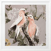 Galahs Muted Pink Framed Art Print
