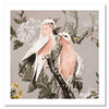 Galahs Muted Pink Unframed Art Print
