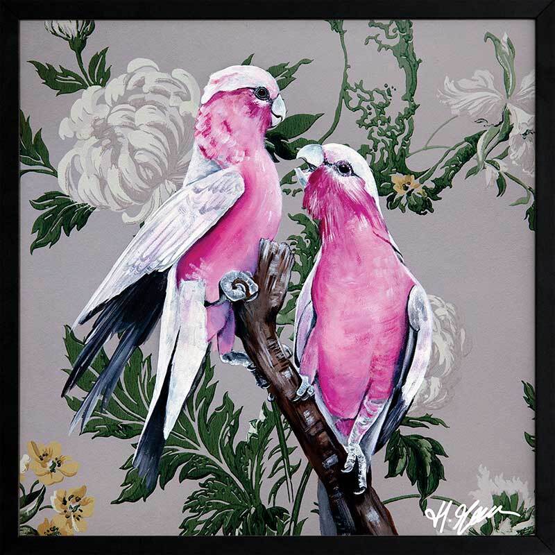 Galahs Framed Art Print