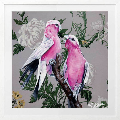 Galahs Framed Art Print