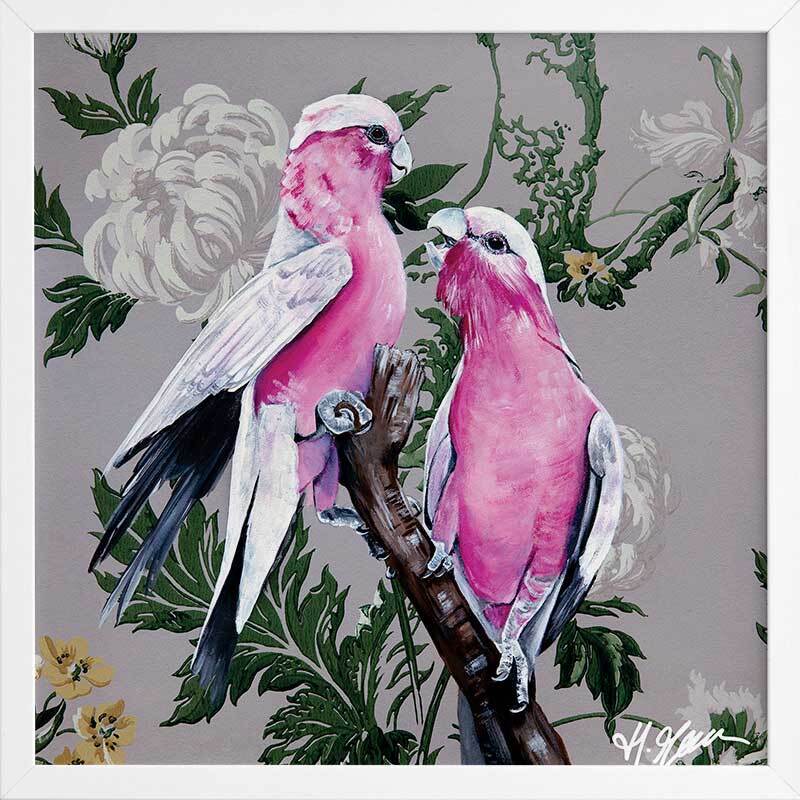 Galahs Framed Art Print