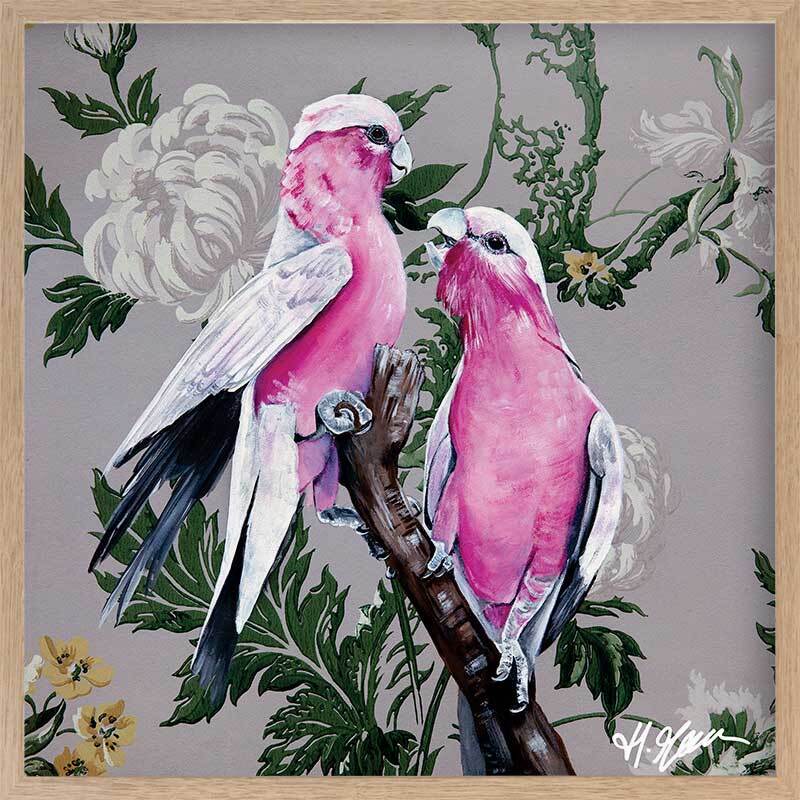 Galahs Framed Art Print