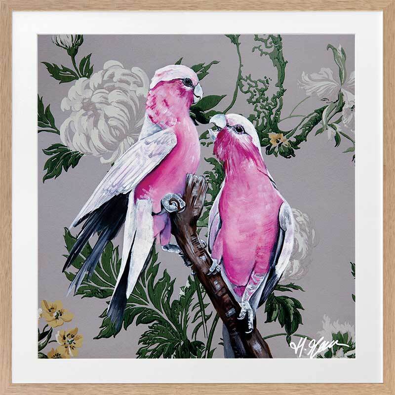 Galahs Framed Art Print