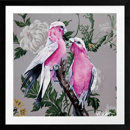 Galahs Framed Art Print