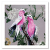Galahs Unframed Art Print
