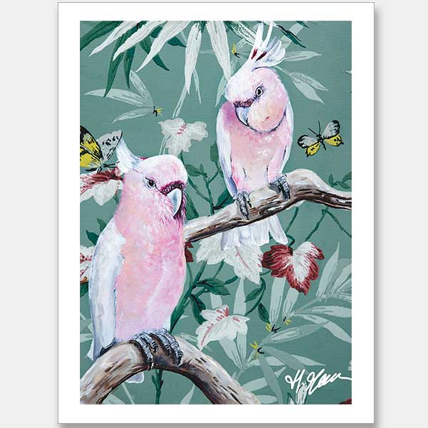 Major Mitchells Unframed Art Print