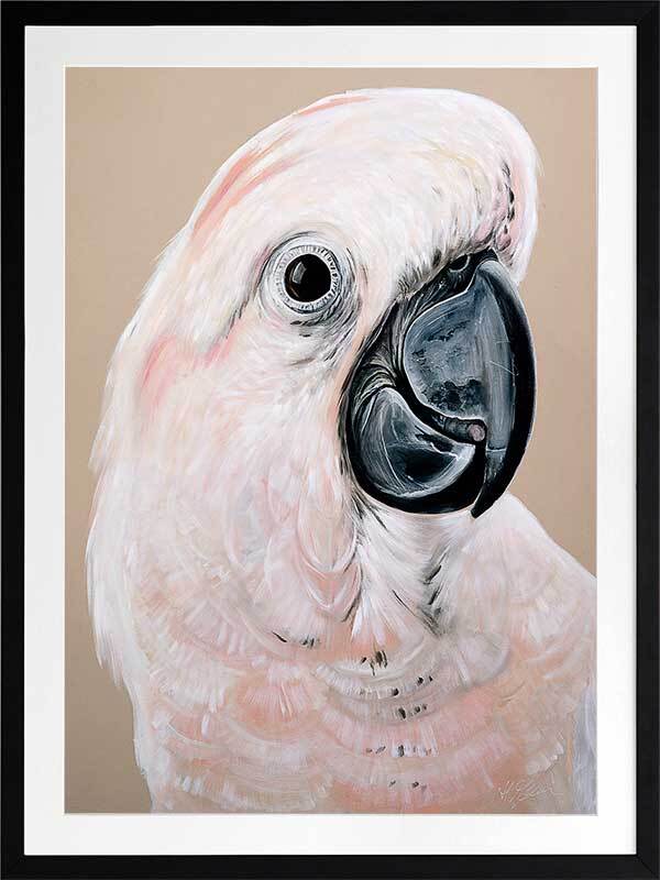 Moluccan Cockatoo Framed Art Print