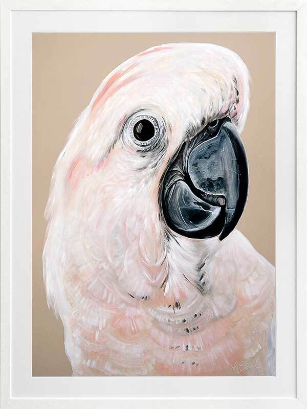 Moluccan Cockatoo Framed Art Print