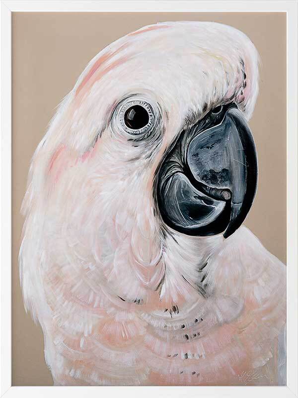 Moluccan Cockatoo Framed Art Print