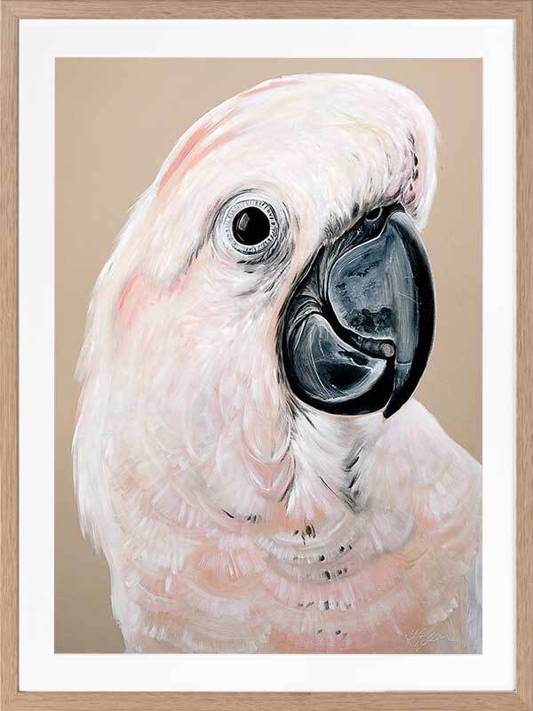 Moluccan Cockatoo Framed Art Print